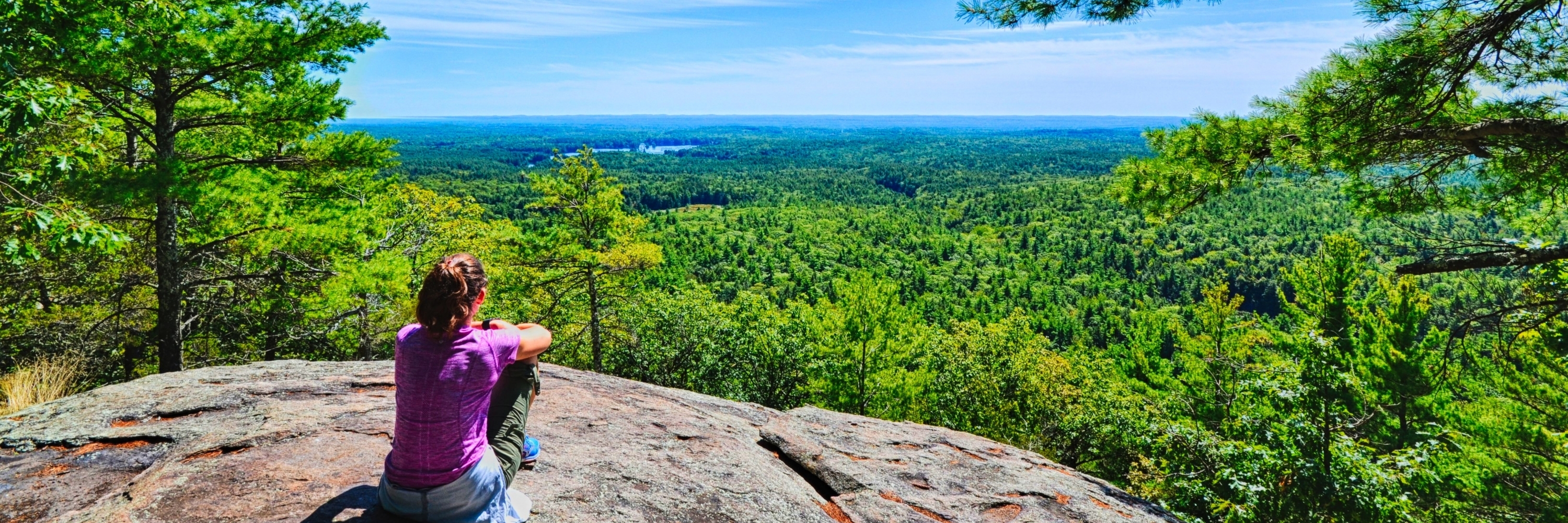Công viên Pawtuckaway (Pawtuckaway State Park)