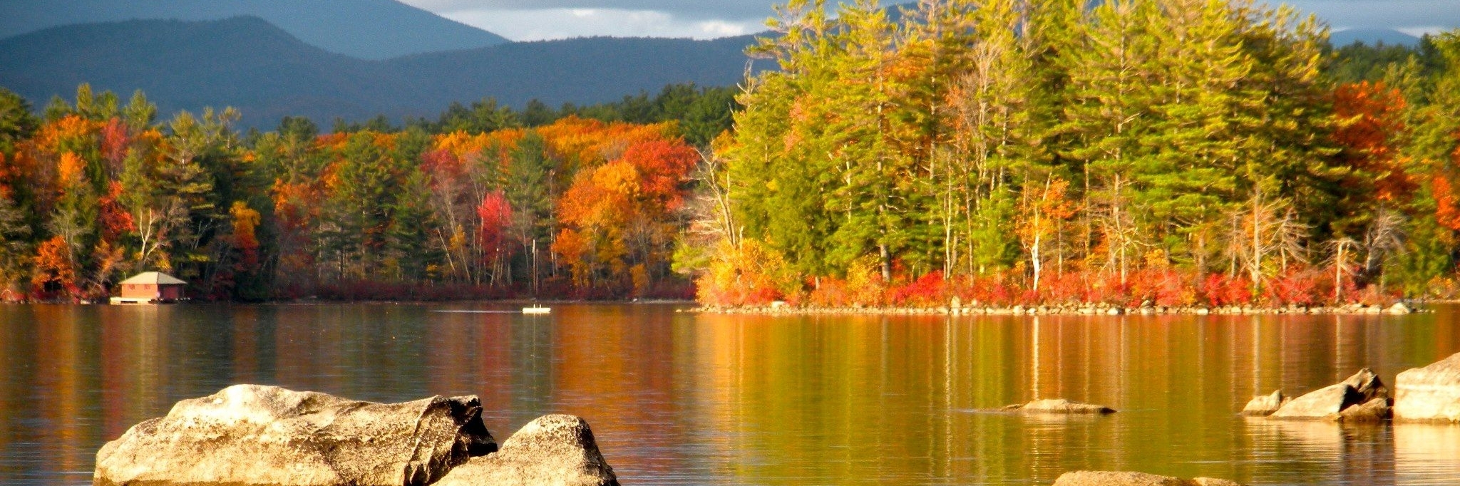 Trung tâm khoa học tự nhiên Squam Lakes (Squam Lakes Natural Science Center)