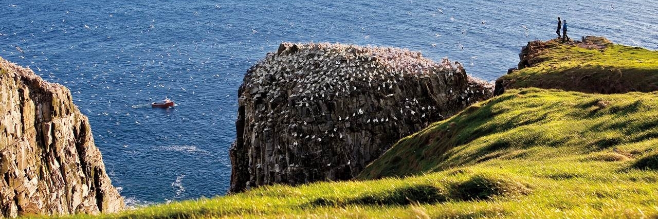 Khu bảo tồn sinh thái Cape St Mary (Cape St Marys Ecological Reserve)