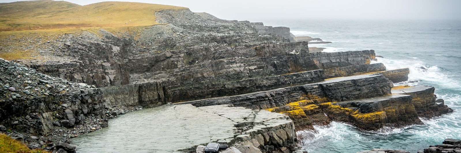 Khu bảo tồn sinh thái Mistaken Point (Mistaken Point Ecological Reserve)