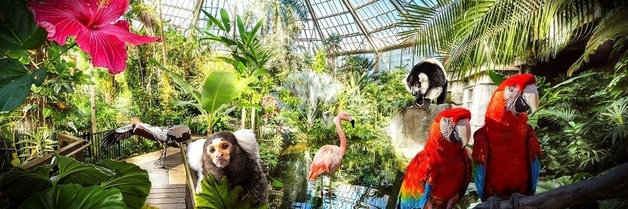 Công Viên Phoenix (Phoenix Park)