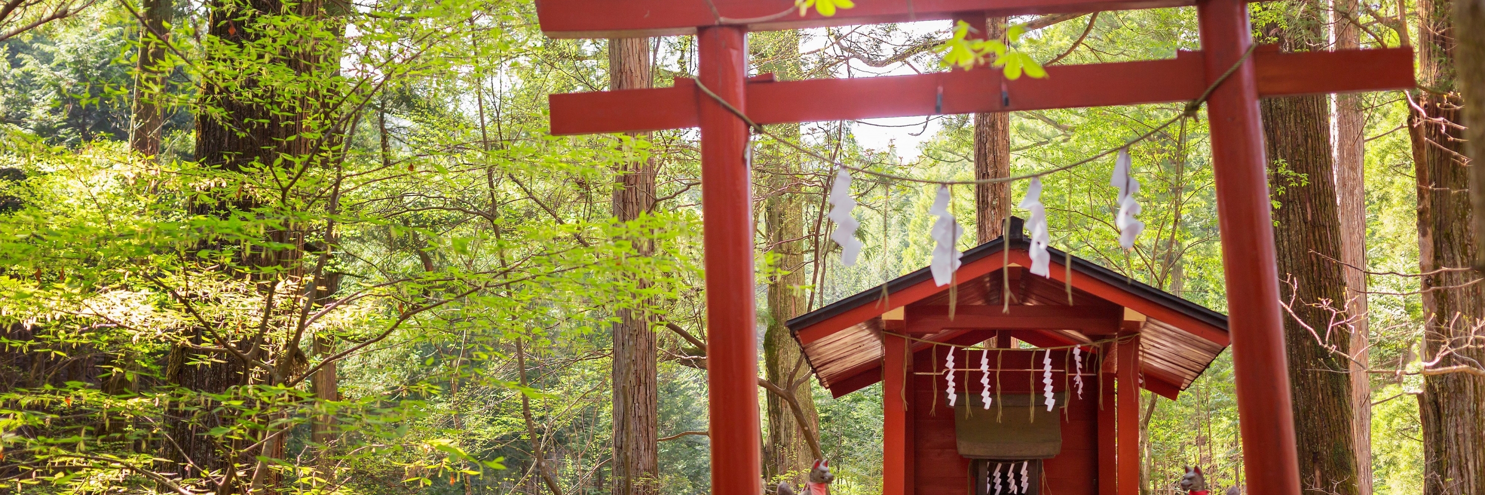 Đền thờ Takino (Takinō-jinja)
