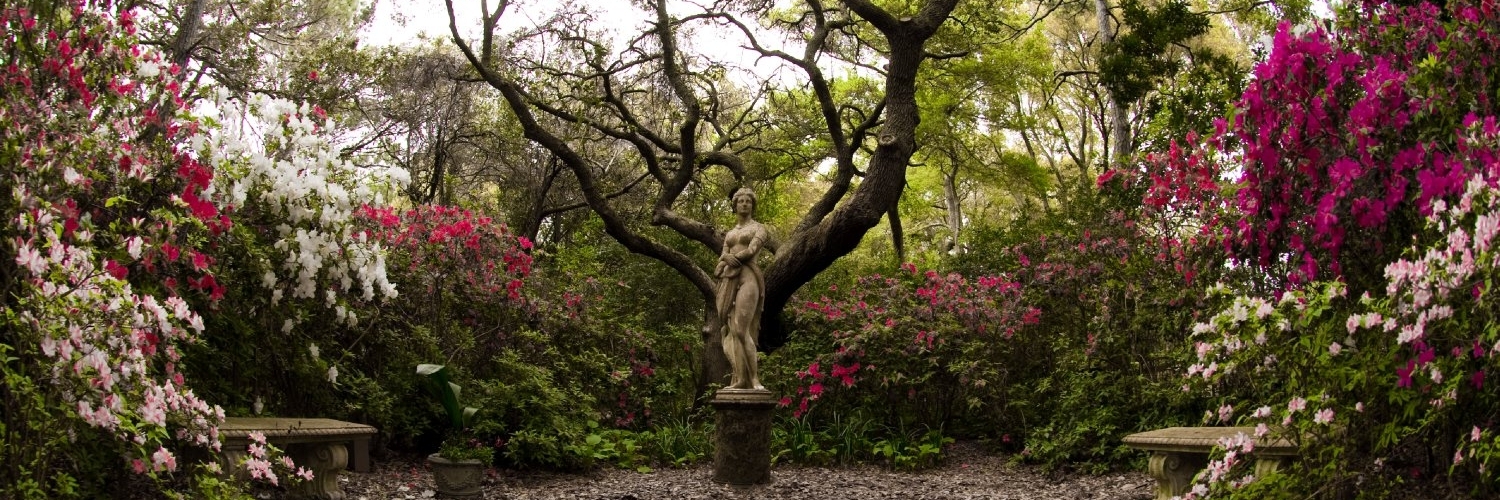 Khu Vườn Elizabethan (Elizabethan Gardens)
