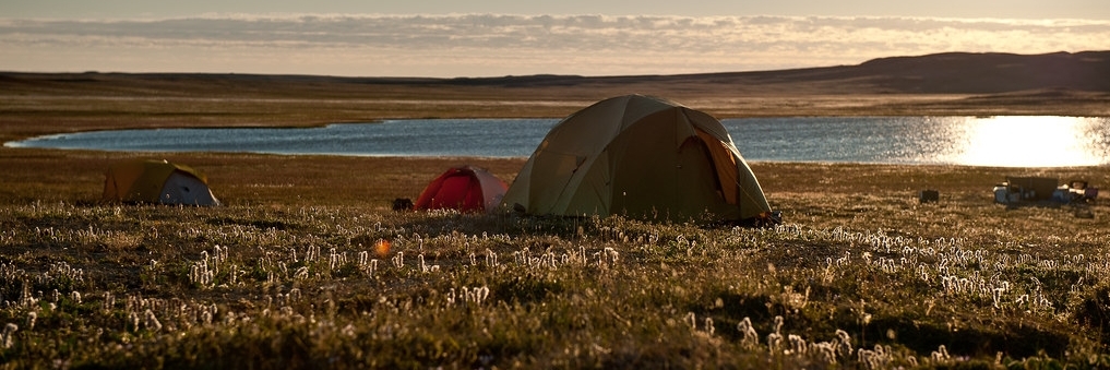 Vườn quốc gia Aulavik (Aulavik National Park)