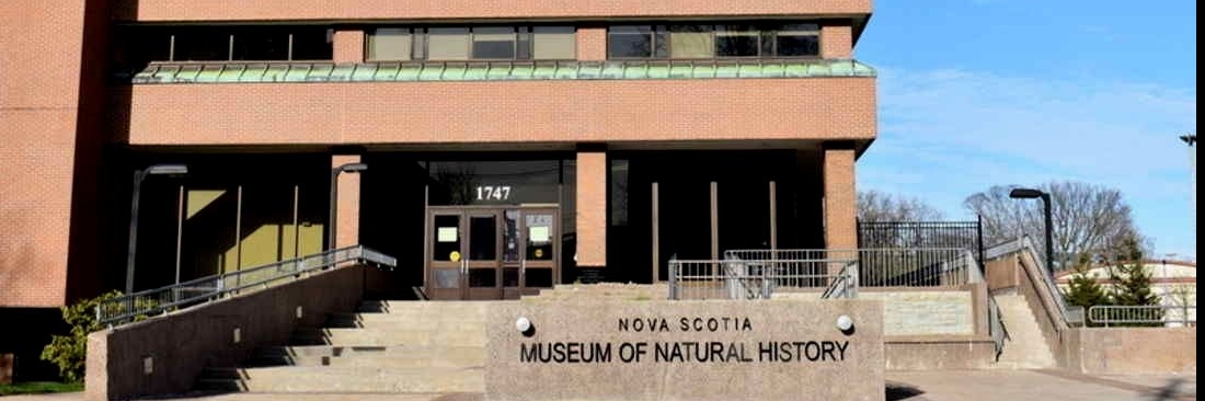 Bảo tàng Lịch sử Tự nhiên Halifax ( Museum of Natural History)