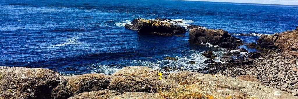 Đảo Brier ( Brier Island)