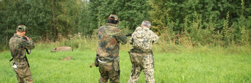 Khu săn bắn (Hunting ground Vihuhol)