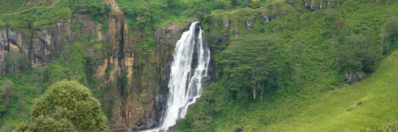 Thác nước Devon (Devon Falls)