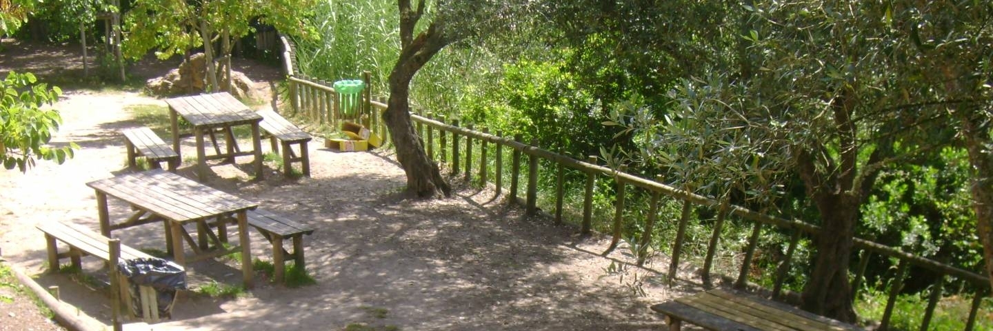 Vườn săn bắn Obidos (Obidos Hunting Park)