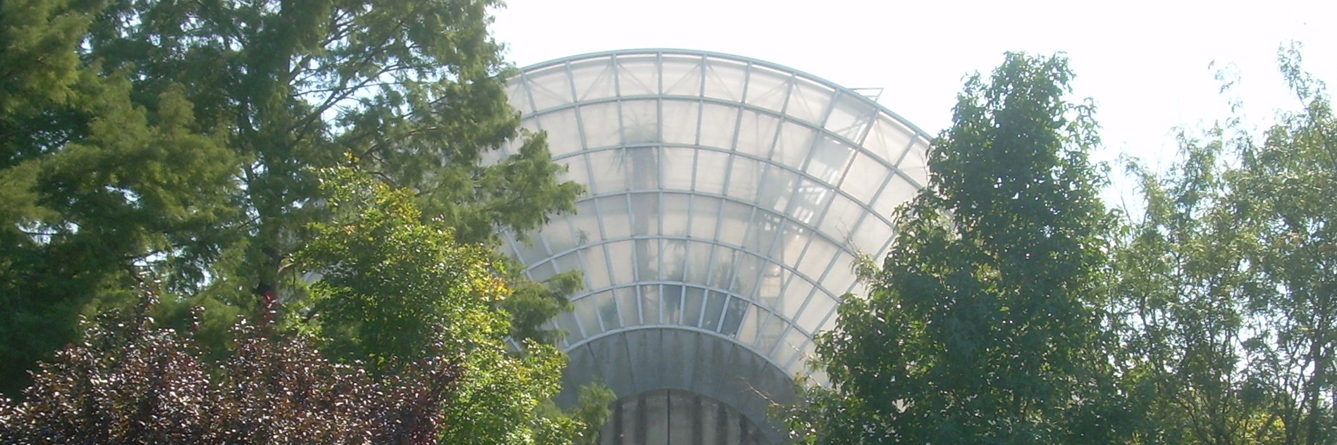 Vườn bách thảo Myriad (Myriad Botanical Gardens)