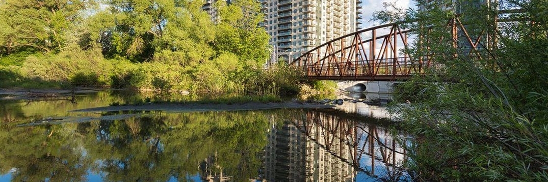 Công viên nước (Waterloo Park)