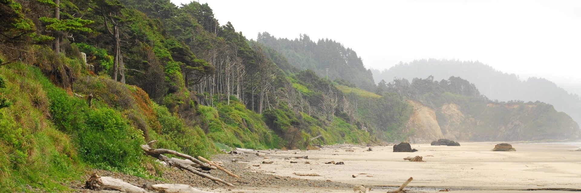 Bãi biển Arcadia (Arcadia Beach State Recreation Area)