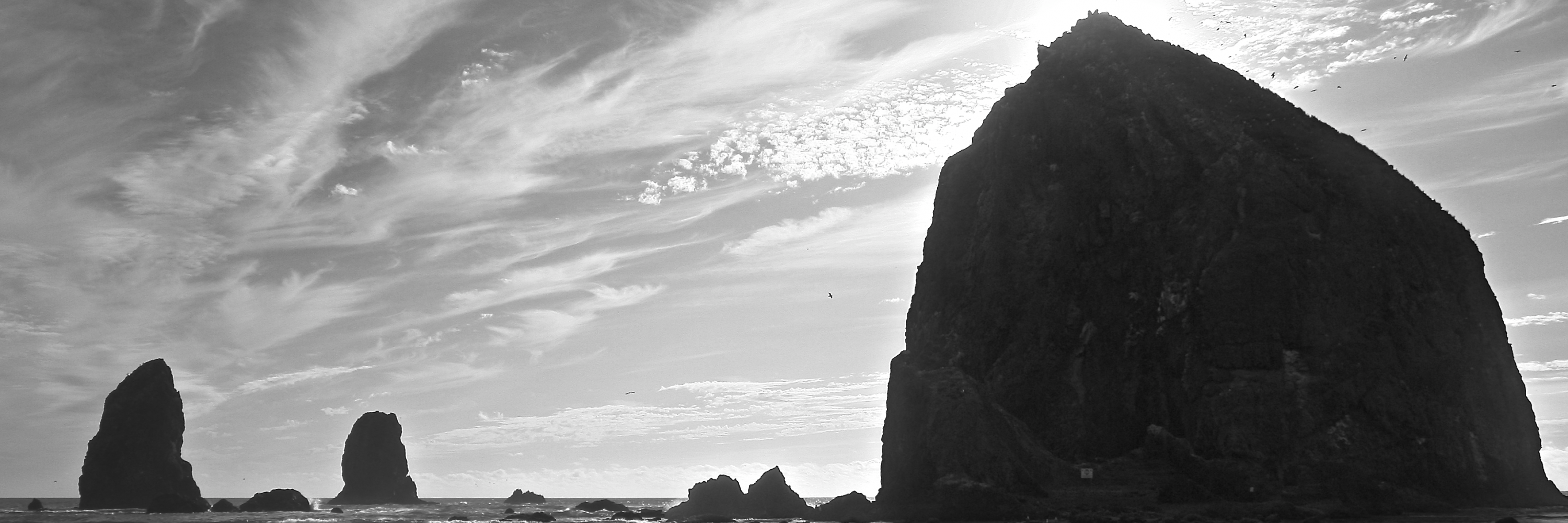 Hòn đá Haystack (Haystack Rock)