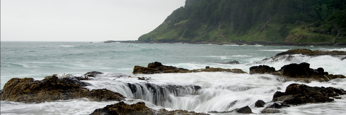 Khu thắng cảnh Cape Perpetua (Cape Perpetua Scenic Area)