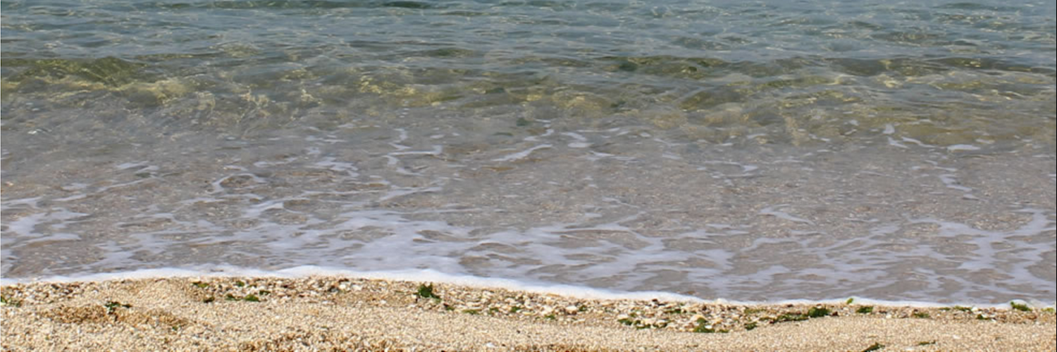 Bãi biển Nishikinohama (Nishikinohama Beach)