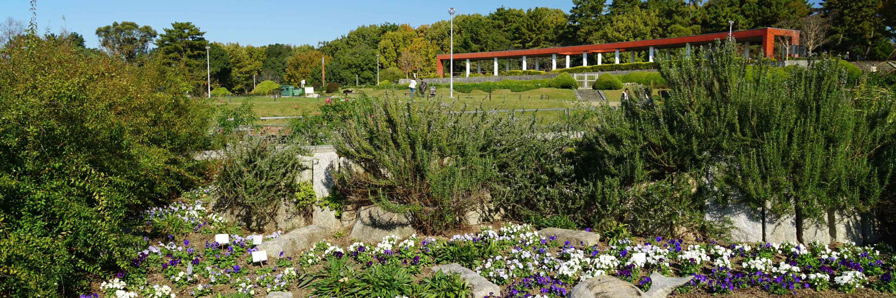 Công viên Hattori Ryokuchi (Hattori Ryokuchi Park)