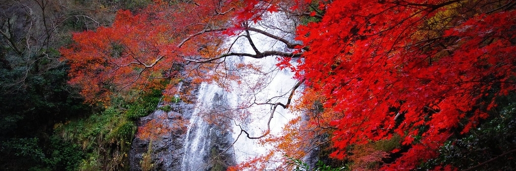 Thác Minoo (Minoo Falls)