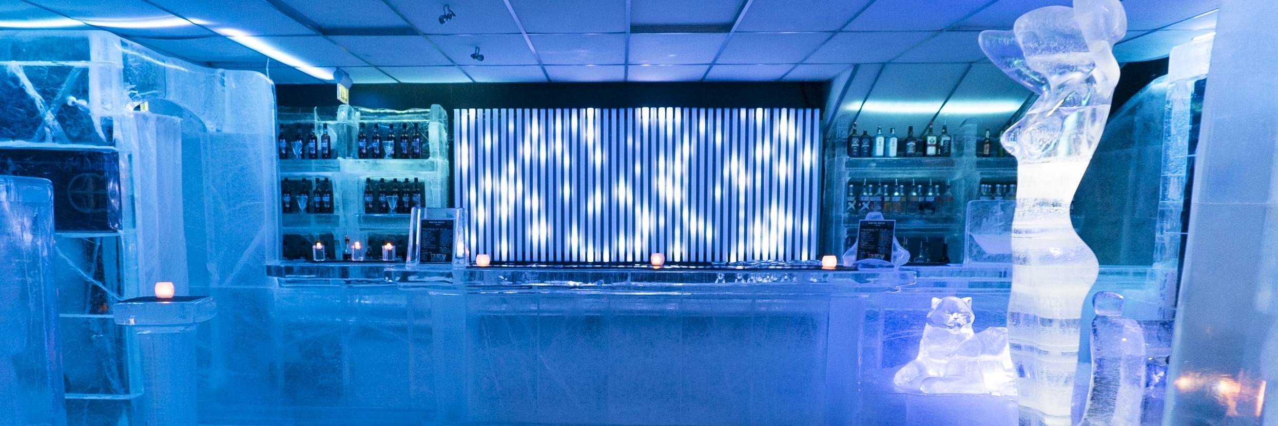 Phòng trưng bày và Bar Ice (Magic Ice: Ice Bar & Gallery)