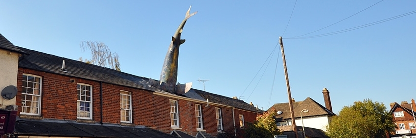 Tượng Cá mập Headington (Headington Shark)