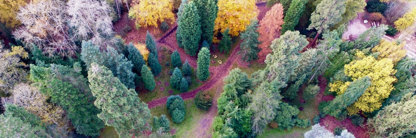 Vườn bách thảo Harcourt đại học Oxford (The University of Oxford Harcourt Arboretum)