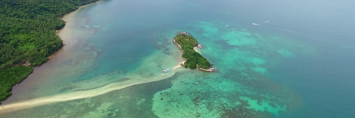 Đảo rắn ( Snake island)