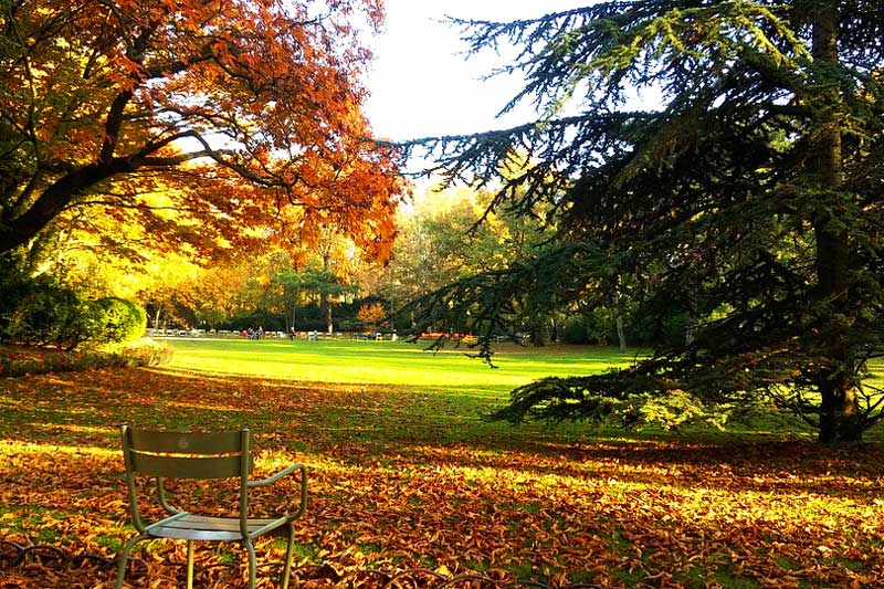 Khu Vườn Luxembourg (Luxembourg Garden), Paris, France...