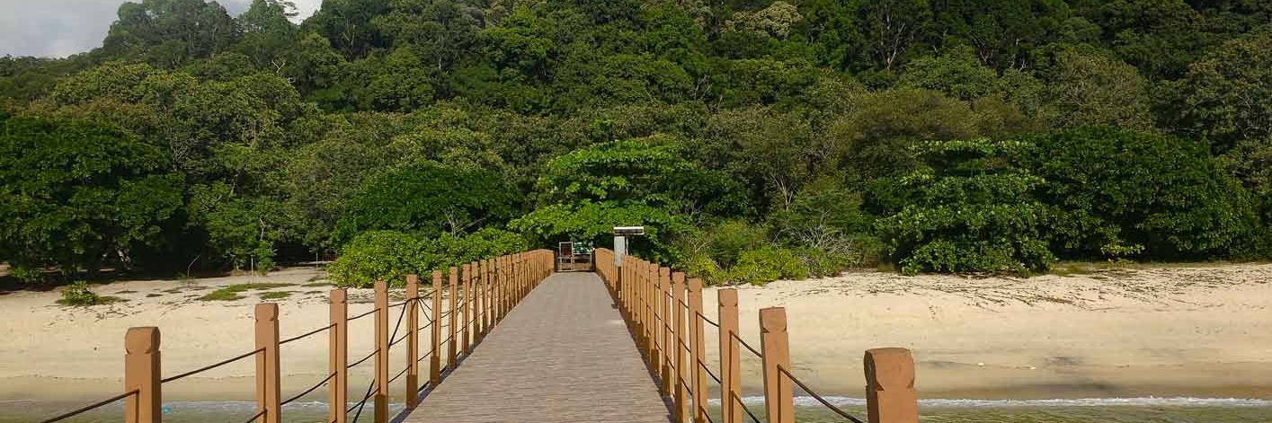 Công viên quốc gia Penang (Penang National Park)