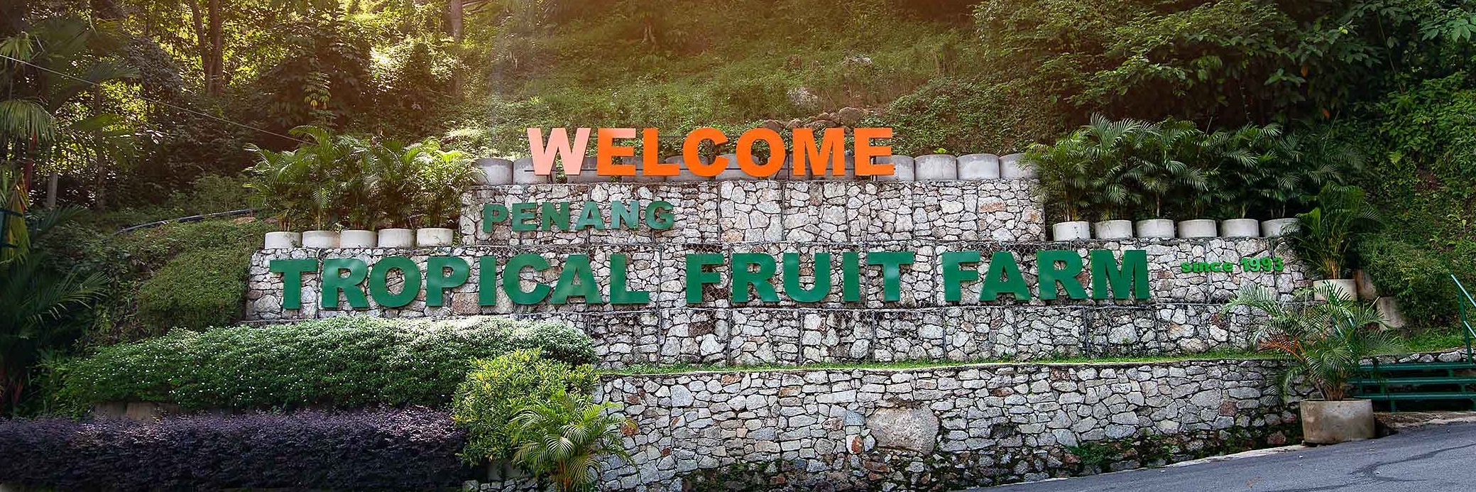 Trang trại trái cây nhiệt đới (Tropical Fruit Farm)