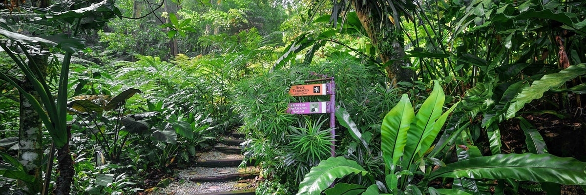 Vườn nhiệt đới(Tropical Spice Garden)