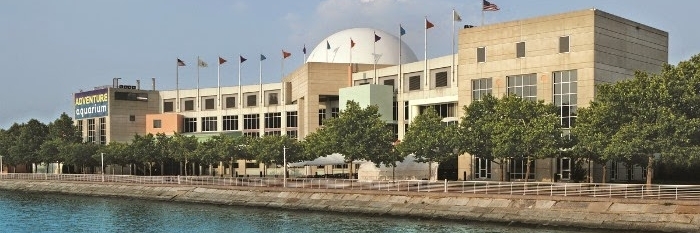 Thủy Cung Phiêu Lưu Camden (Camden Adventure Aquarium)