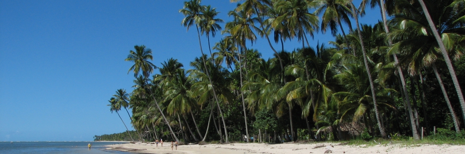 Bãi biển Carneiros (Carneiros Beach)
