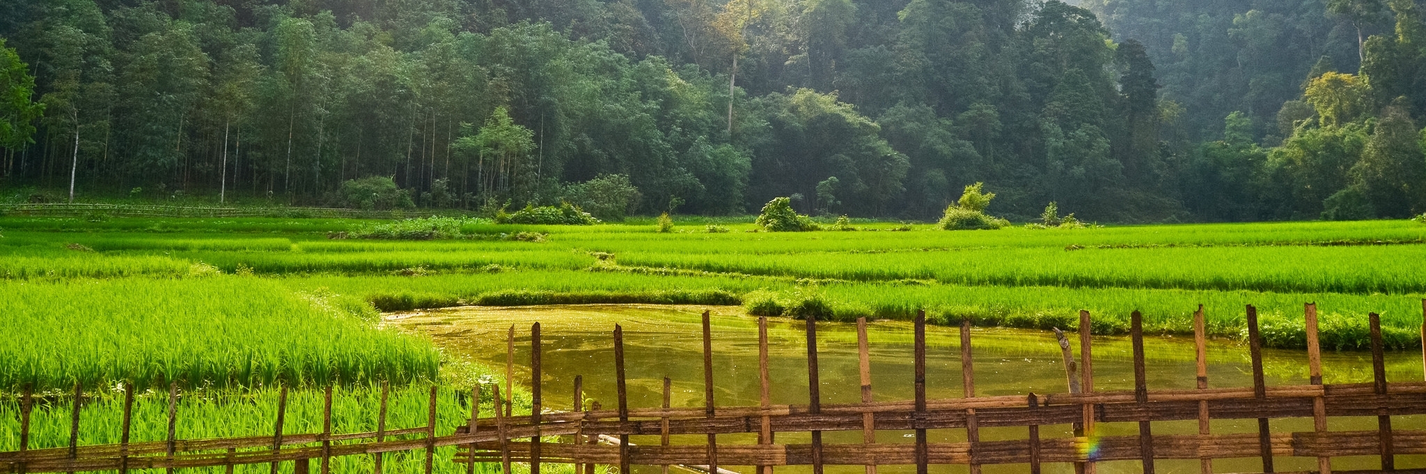 Bản Cỏi Phú Thọ