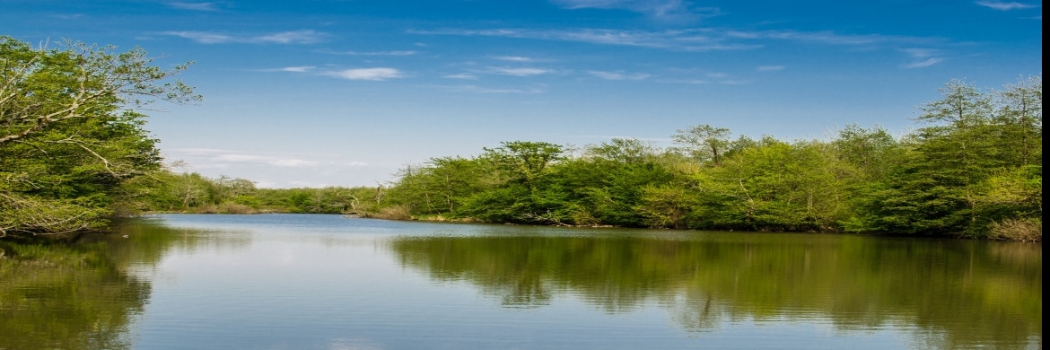 Hồ Paliastomi (Paliastomi Lake)