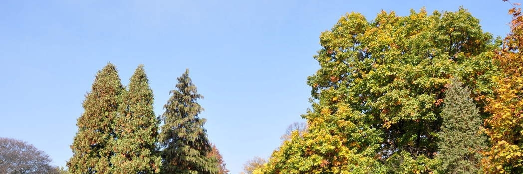 Công viên thiên nhiên của lâu đài Turnisce (Turnisce Castle Park)