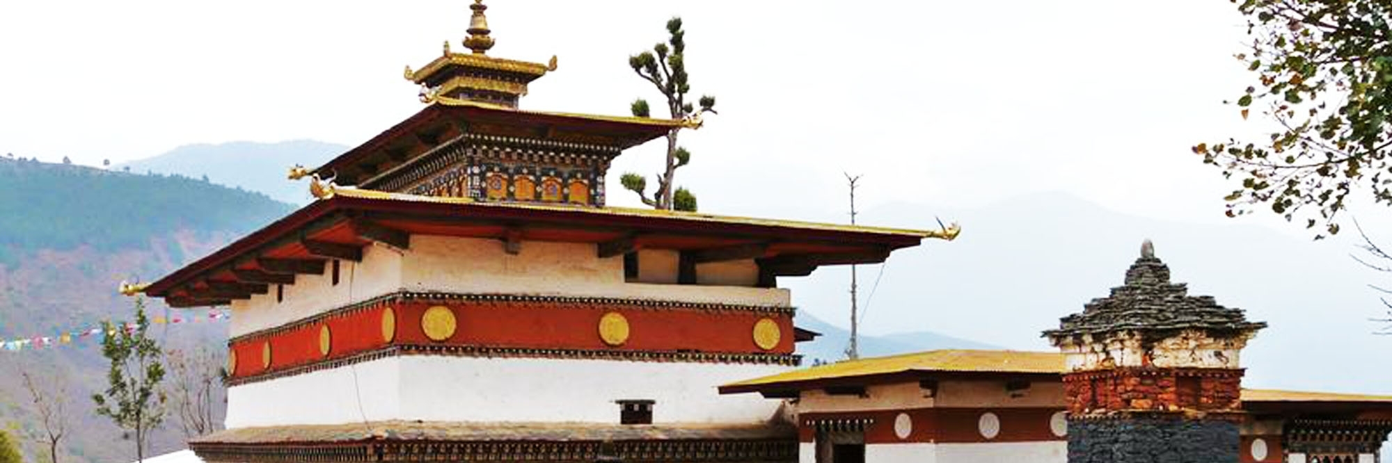 Tu viện Chimi (Chimi Lhakhang)