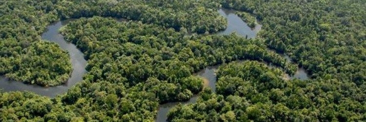 Khu Nghỉ Dưỡng Bak Tra (Bak Tra Resort)