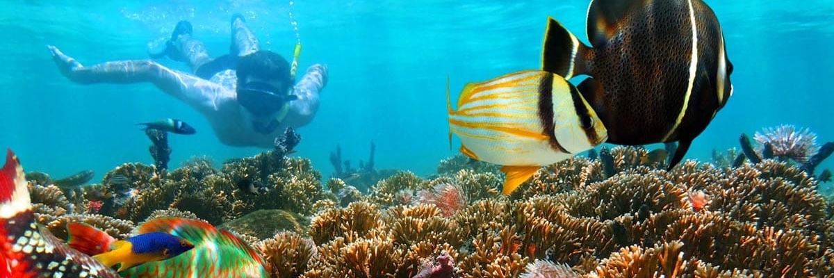 Trung tâm lặn biển Kalpitiya (Kalpitiya Diving Center)