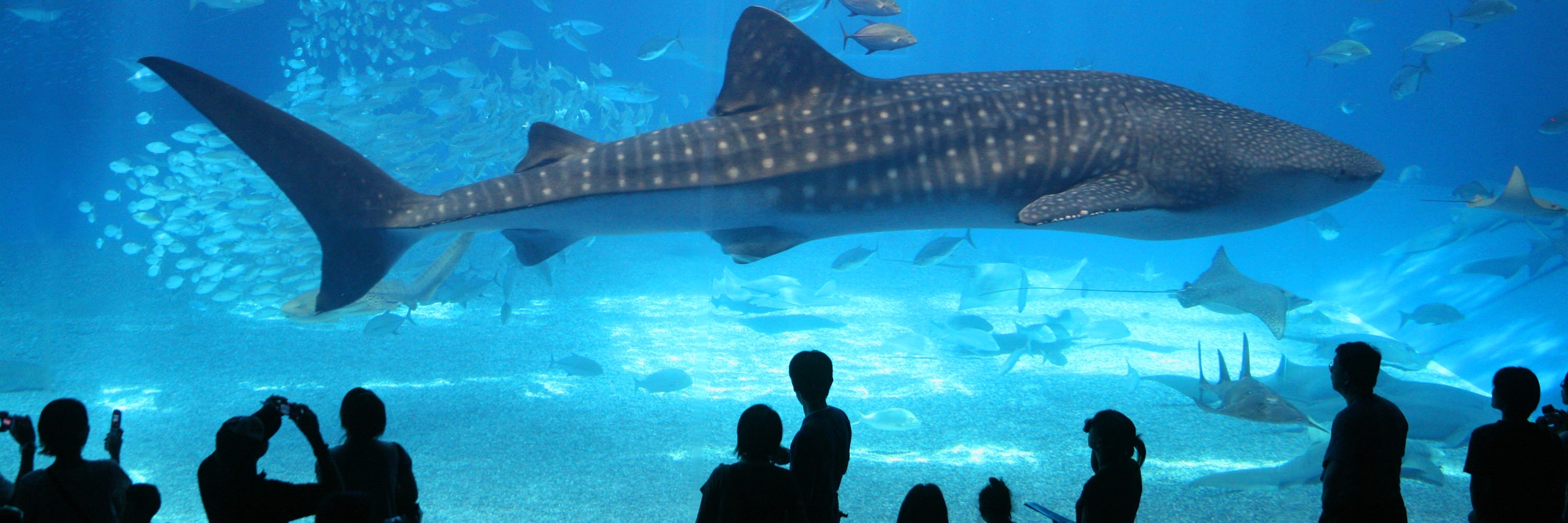 Công viên nước Quebec (Aquarium of Quebec)