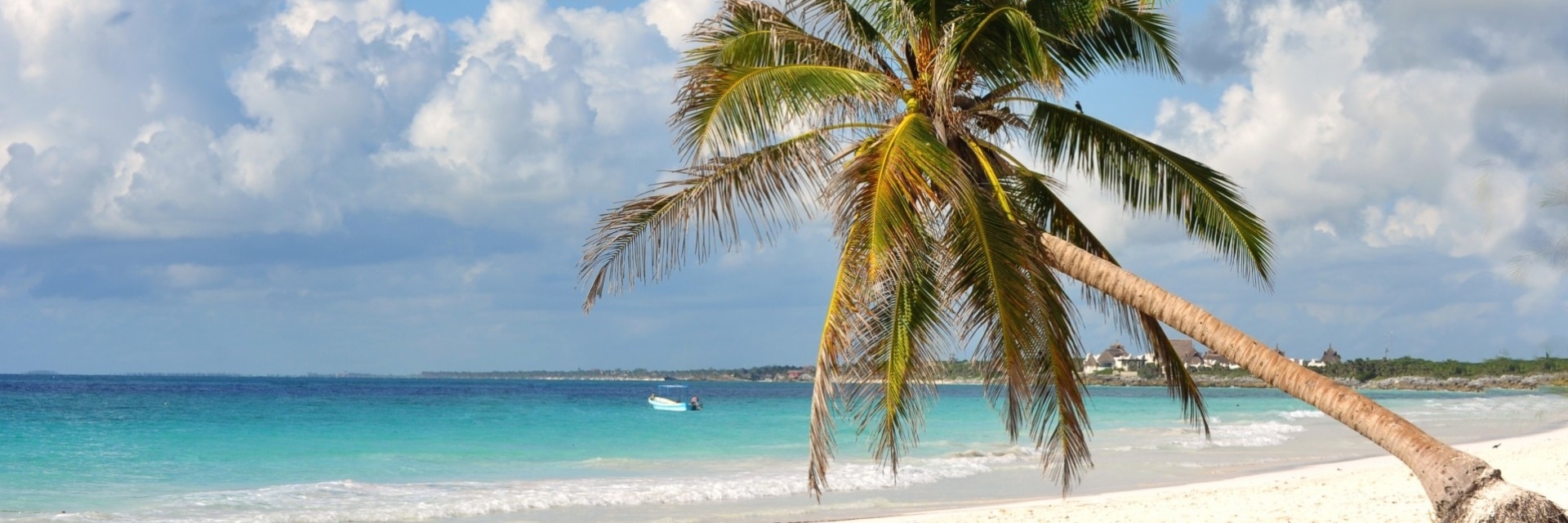 Bãi Biển Paradise ( Paradise Beach )