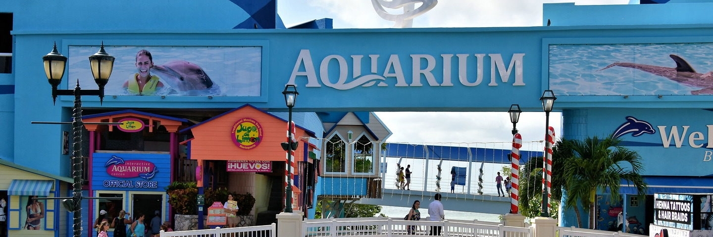 Thủy Cung Cancun ( Interactive Aquarium Cancun )
