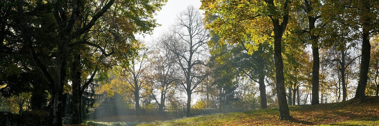 Đường mòn đi bộ Rakvere Oak Grove (Rakvere Oak Grove Hiking Trail)