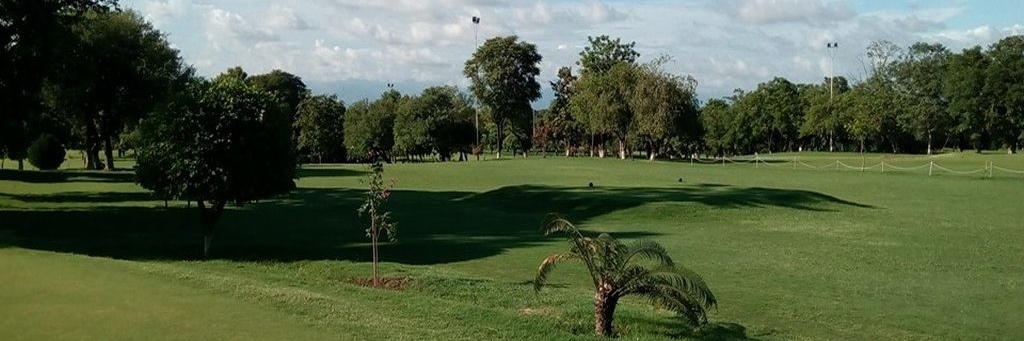 Câu lạc bộ gôn (Golf Club)