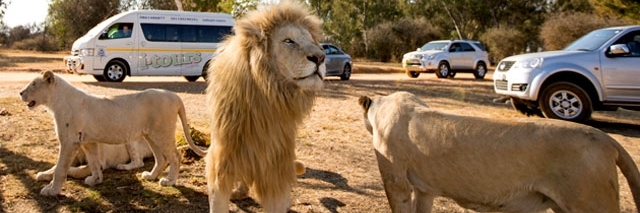 Vườn hoang dã Lohi Bher (Lohi Bher Wildlife Park)