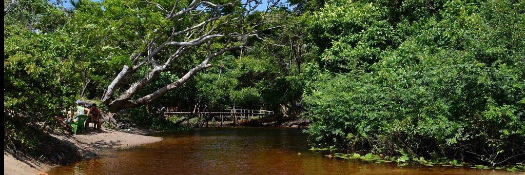 Biển nước lợ Igarape Agua Boa (Igarape Agua Boa)