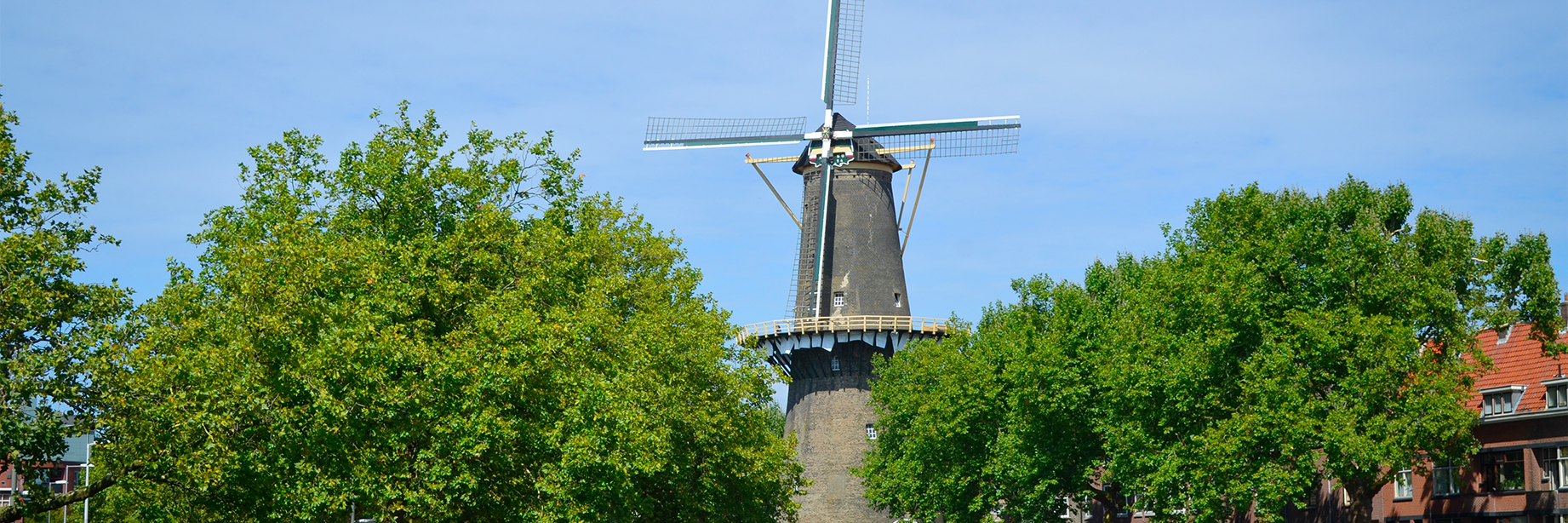 Cối xay gió Korenmolen de Walvisch (Korenmolen de Walvisch)