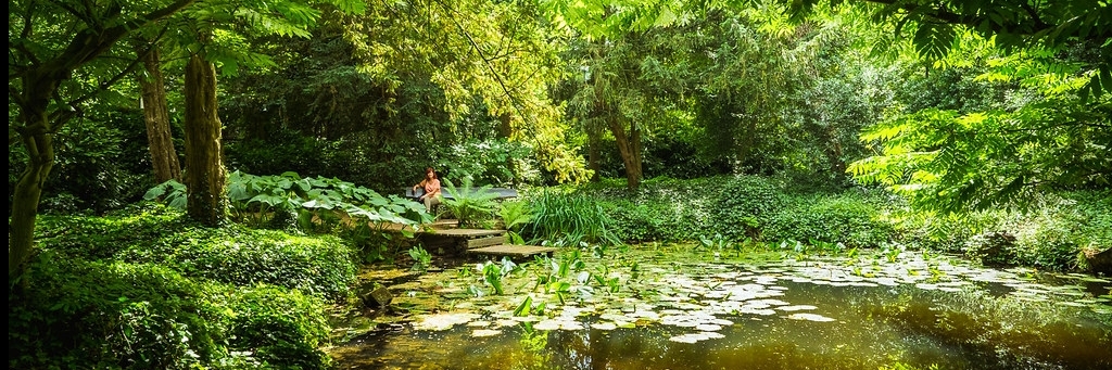 Khu vườn lịch sử Tuin Schoonoord (Tuin Schoonoord)
