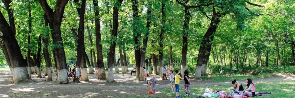 Công viên Krtsanisi (Krtsanisi Park)