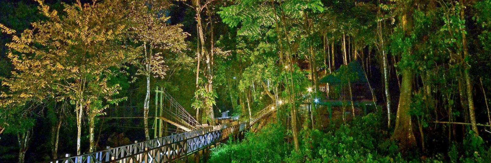 Khu bảo tồn động vật hoang dã Tabin (Tabin Wildlife Reserve, Kota Kinabalu)
