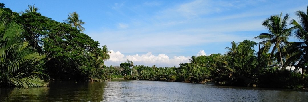 Rừng ngập mặn Kawa (Kawa Mangrove)