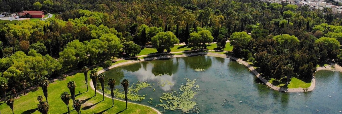 Công viên Parque Tangamanga (Parque Tangamanga)